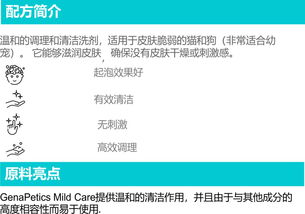 寵物護理產(chǎn)品開發(fā)的二三事 從理念到軟件的融合之旅